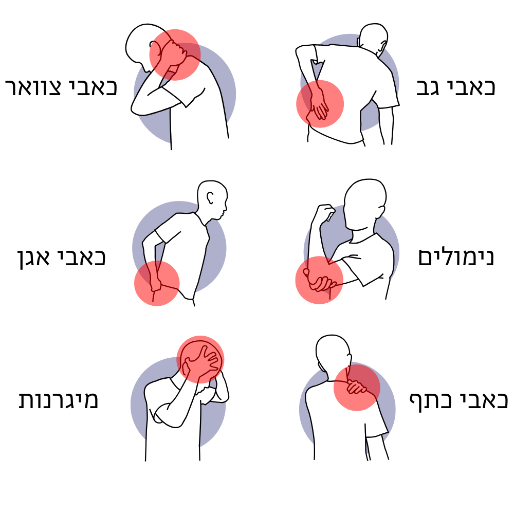 איור של אזורי כאב נפוצים – צוואר, גב, אגן, כתף, נימולים ומיגרנות – שבהם מסייעת כרית השינה האורטופדית של לישון